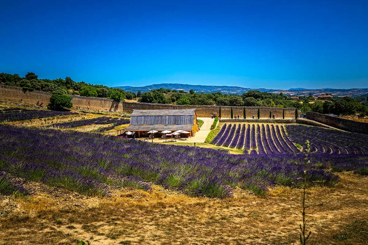Fotos de boda en el Granero de San Francisco - Fotógrafos de Bodas en  Vitoria - Erramun, image size:1200x800